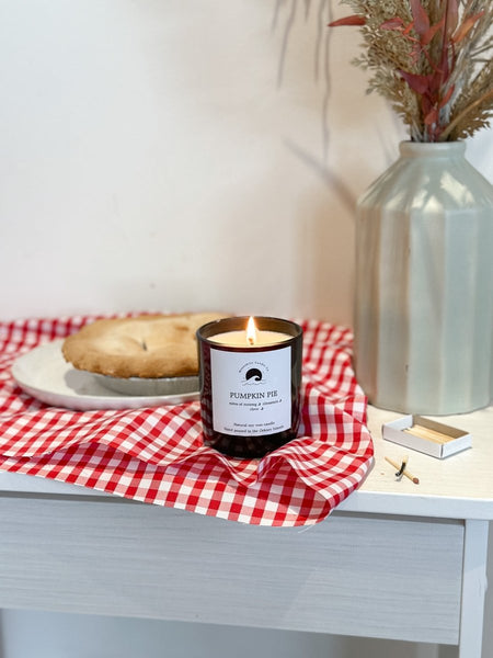 Pumpkin Pie Soy Candle - Moonshine Candle Co.