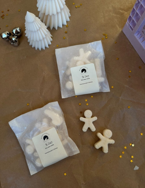 Festive Soy Wax Melts - Moonshine Candle Co.