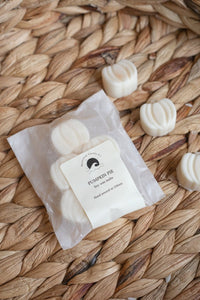 Pumpkin Pie Wax Melts - Moonshine Candle Co.